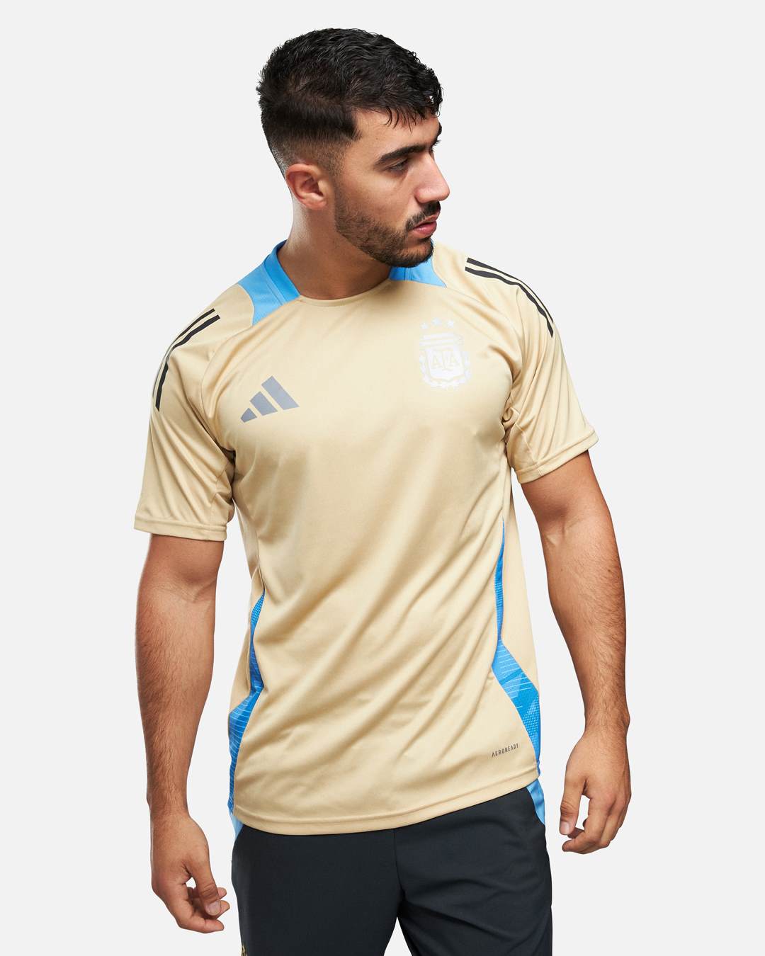 Argentinien 2024 Trainingstrikot – Beige/Blau