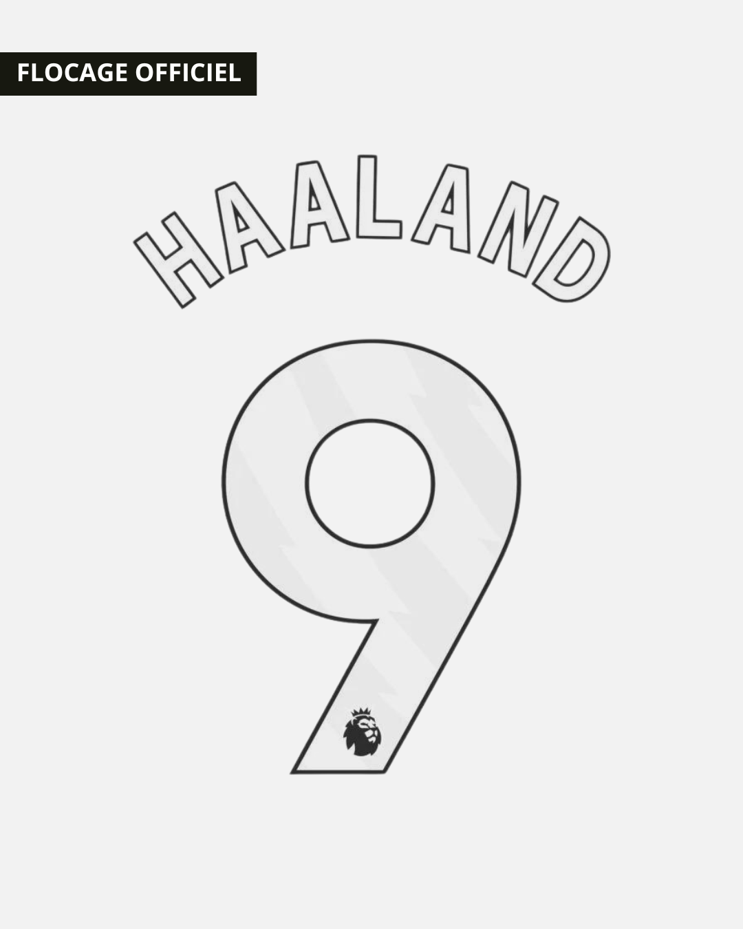 Manchester City Printing Home / Away / Third 2024/2025 - Haaland